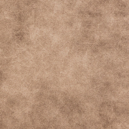 25039509