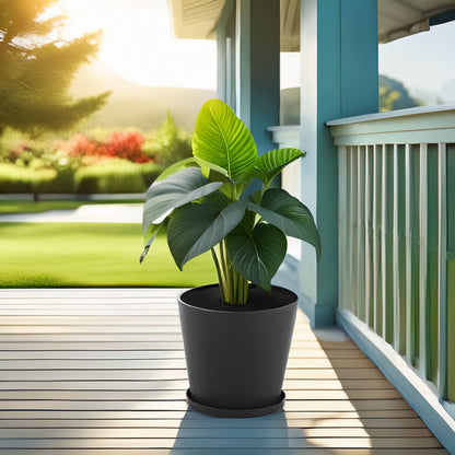 ROUND POT LILIUM