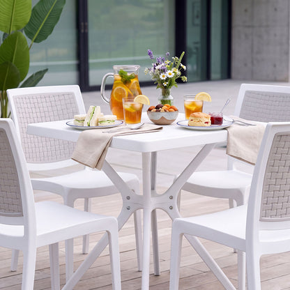 SANDRA CHAIRS
