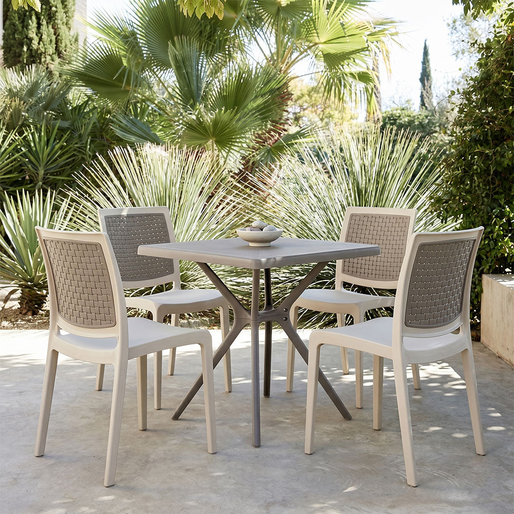 SANDRA CHAIRS